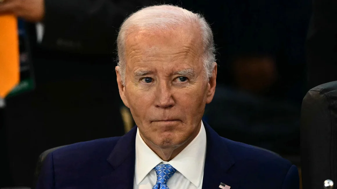 Biden Administration Faces Scrutiny Over Anti-Personnel Landmine Policy in Ukraine