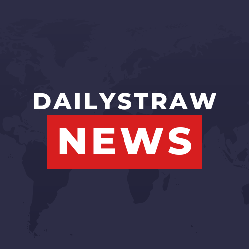 dailystraw navigation